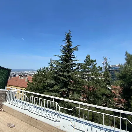Bursa