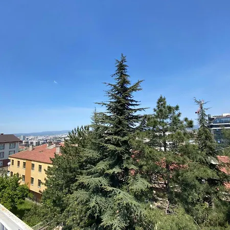 Bursa فيلة Nilufer