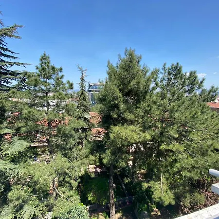 Bursa *